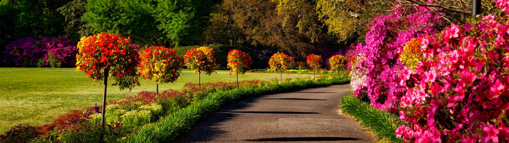 horticulture-pépinière